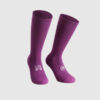 SPRING FALL UNISEA SOCKS<h6>スプリングフォールユニシーソックス</h6>