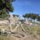 【ENVE x MOG ニュース】SEA OTTER CLASSIC ‘23