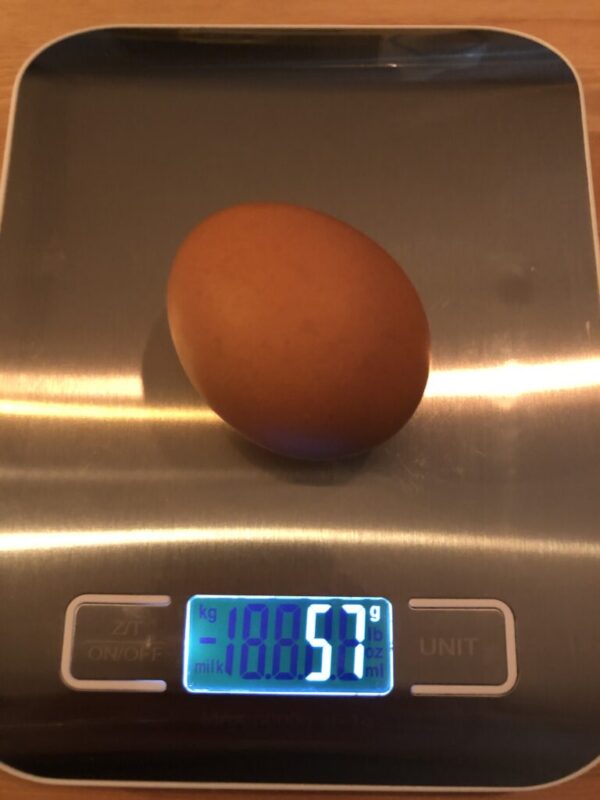 生卵は57g。